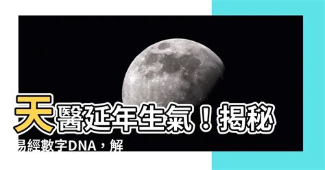 生氣天醫延年順序|【天醫 延年 生氣】解鎖你的數字運勢：天醫、延年、生氣號碼全。